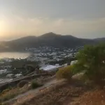 Anasa Daire