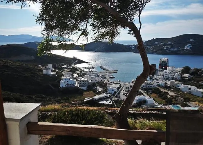 Anasa איוס חורה