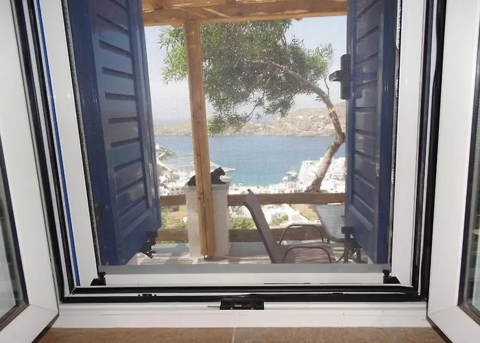 Anasa 伊奥斯乔拉